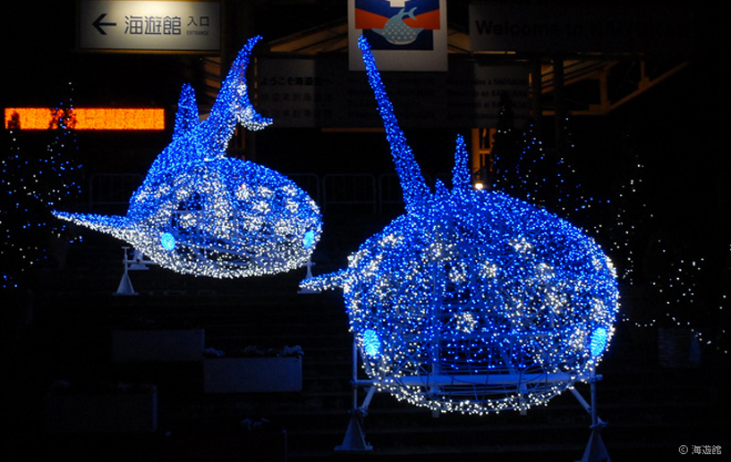 世界最大級の水族館「海遊館」