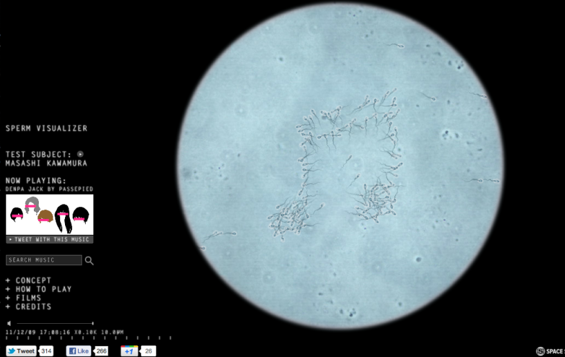 SPERM VISUALIZER