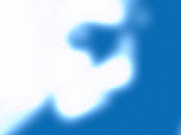 PEACE SHADOW PROJECT