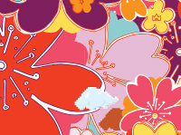 NUSSHA Japanware
