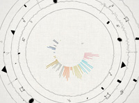 SHUGO TOKUMARU / Port Entropy Special Website