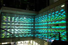 NIKE STORE KICHIJOJI 10thSPECIAL 3D ILLUMINATION