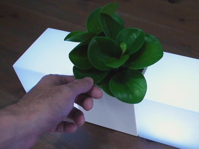 Plantware [Organic Interface]