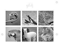 gif.dj