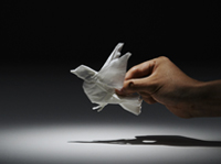 Tissue Animals